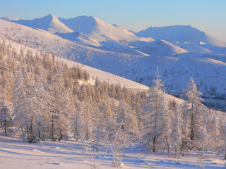 Paesaggio invernale in Siberia